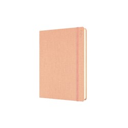 Debden Designer Diary A5 Day To Page Textured Peach 