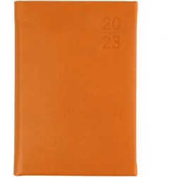Debden Silhouette Diary A5 Day To Page Orange