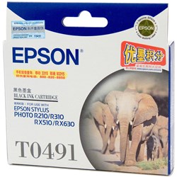 Epson C13T049190 - T0491 Ink Cartridge Black