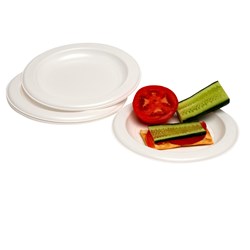 Marbig Disposable Plastic Plates 260mm Pack of 25  